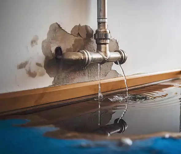 Professional Water Damage Restoration Experts in Fort Lee, NJ — Fast, Reliable & Certified